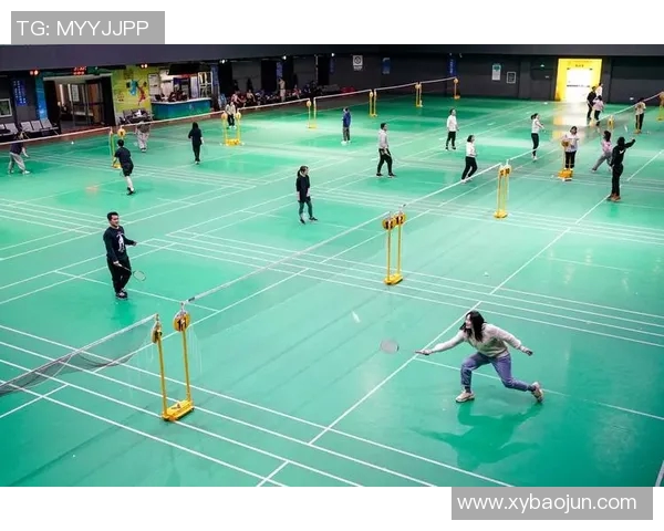 南京羽毛球队成员个人能力深度对比与分析探讨 南京羽毛球队成员个人能力深度对比与分析探讨