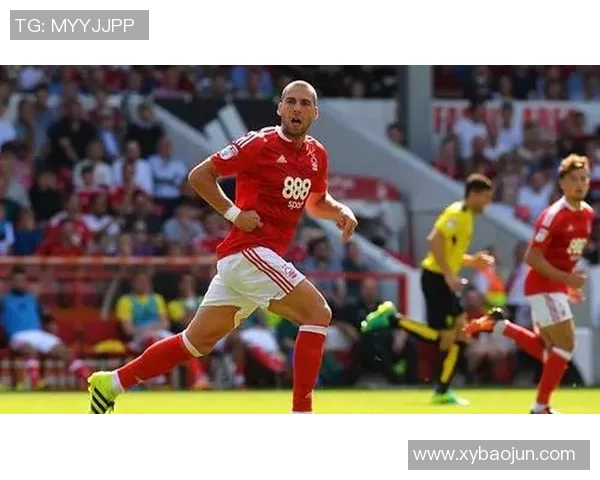 西布朗对雷丁精彩直播全程回顾与赛后分析