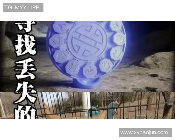 神秘人揭开王牌延期背后的真相与阴谋，探寻事件的深层次影响与启示