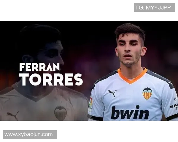 费兰托雷斯的成长之路：从青训新星到世界足坛的璀璨明珠